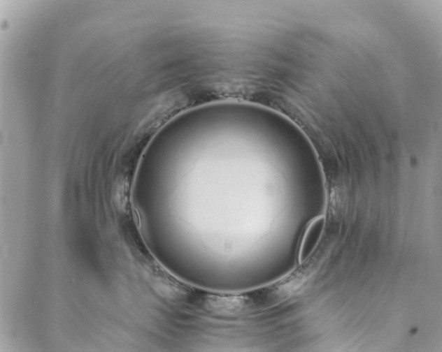 X0000089930671200706291159