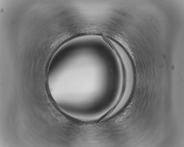 X0000089930673200706291158