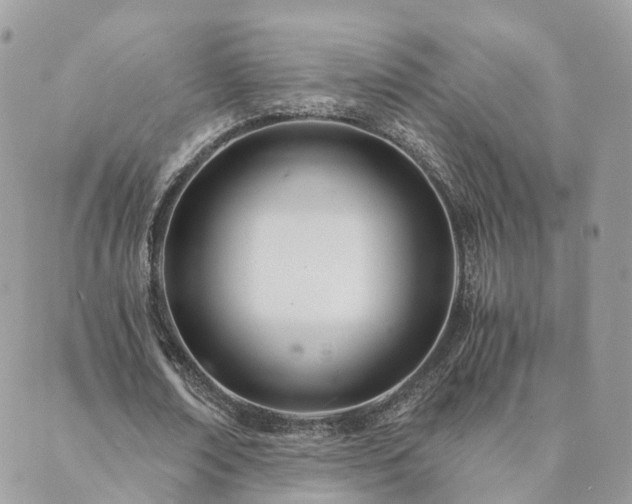 X0000089930674200706291158