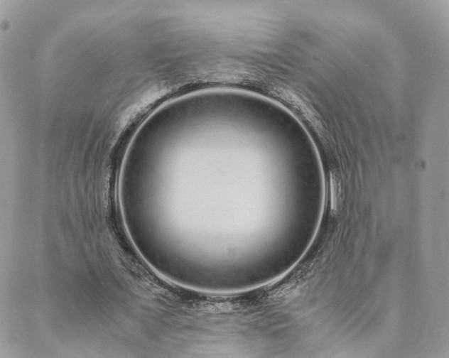 X0000089930675200706291158