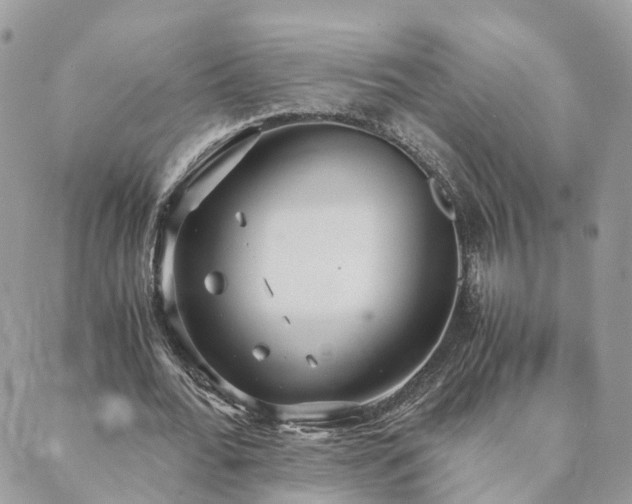 X0000089930676200706291158