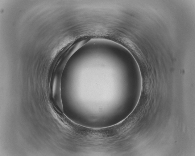 X0000089930677200706291158