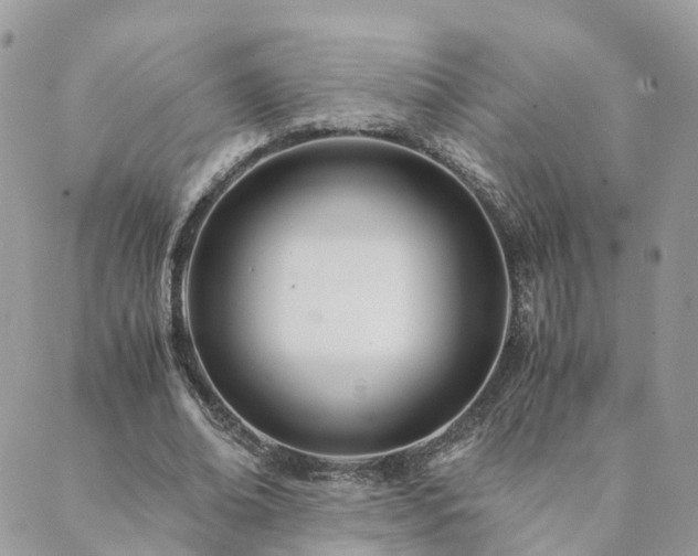 X0000089930678200706291158