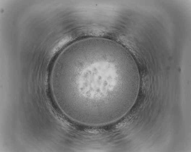 X0000089930679200706291158