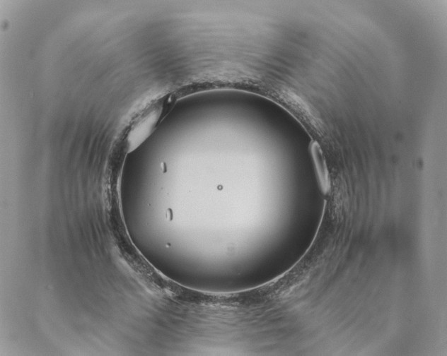 X0000089930680200706291158