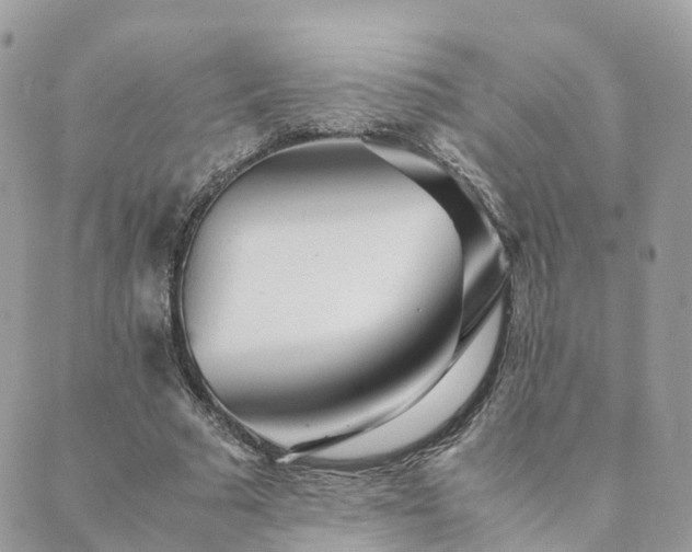 X0000089930681200706291158