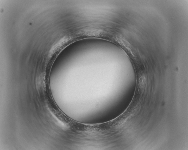 X0000089930682200706291158