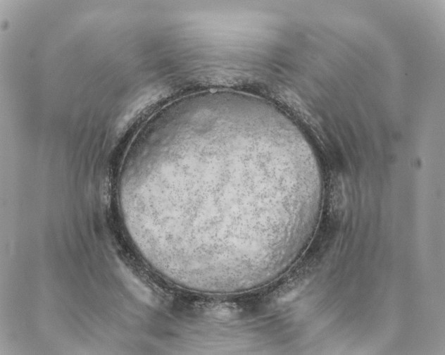 X0000089930683200706291158