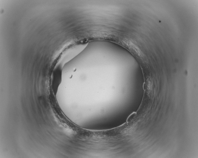 X0000089930684200706291158