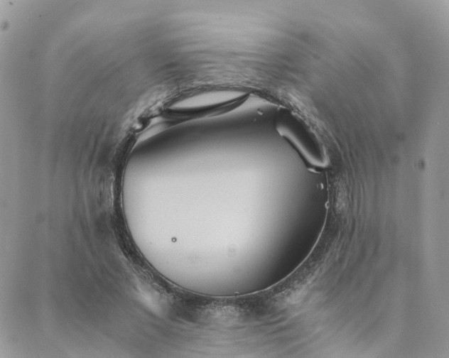 X0000089930685200706291158