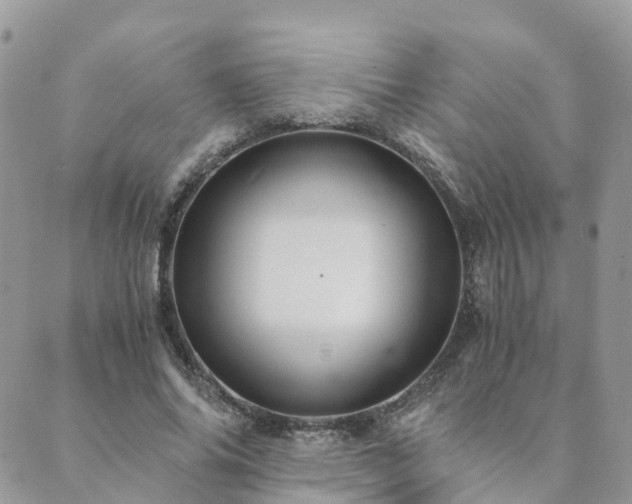 X0000089930686200706291158