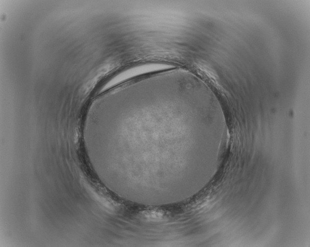 X0000089930687200706291158