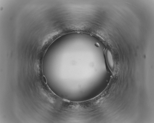 X0000089930688200706291158