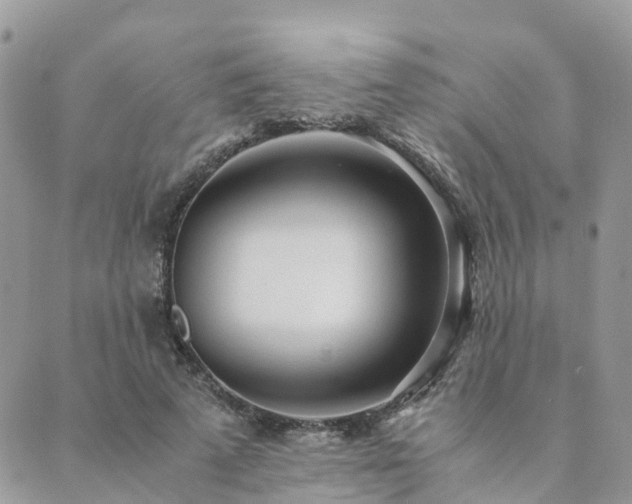 X0000089930689200706291158