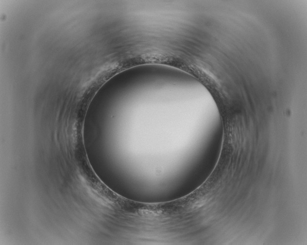 X0000089930690200706291158