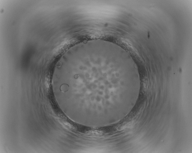 X0000089930691200706291158