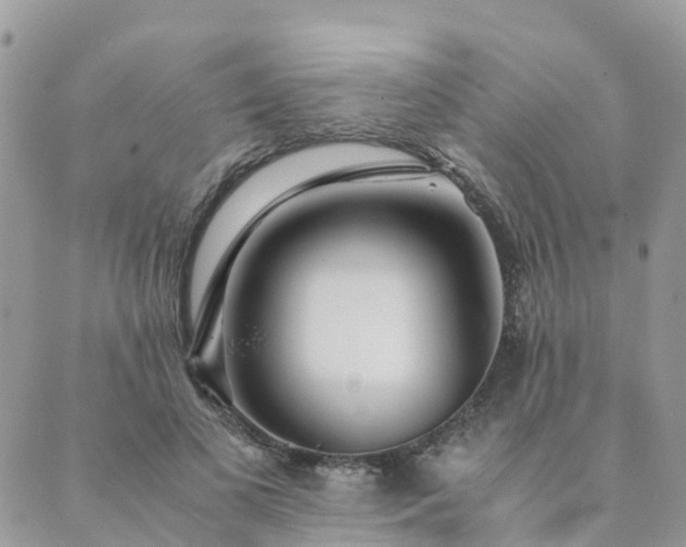 X0000089930693200706291158