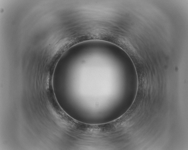 X0000089930694200706291158