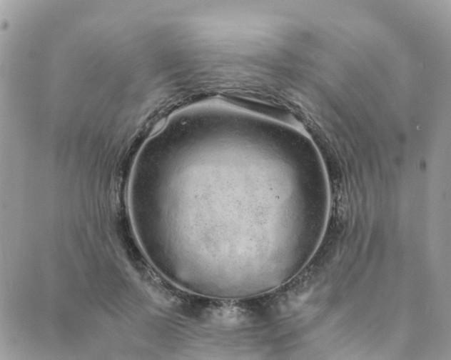 X0000089930695200706291158