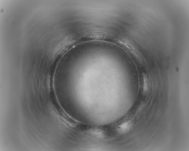 X0000089930696200706291158