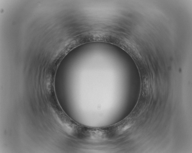 X0000089930698200706291158