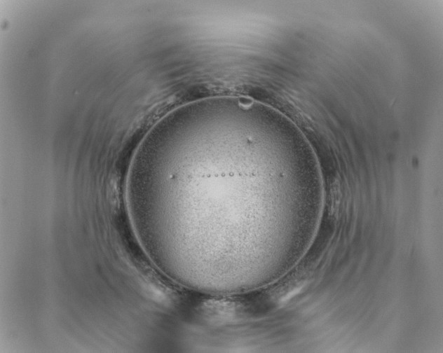 X0000089930699200706291158