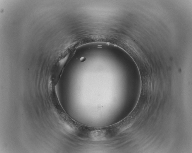 X0000089930700200706291158