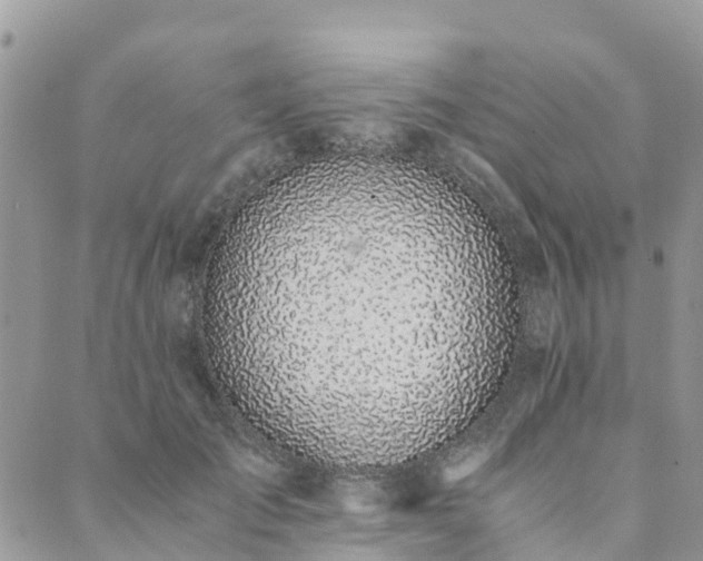 X0000089930701200706291158