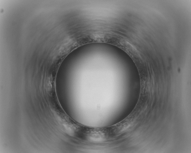 X0000089930702200706291158