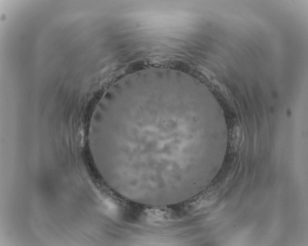 X0000089930703200706291158