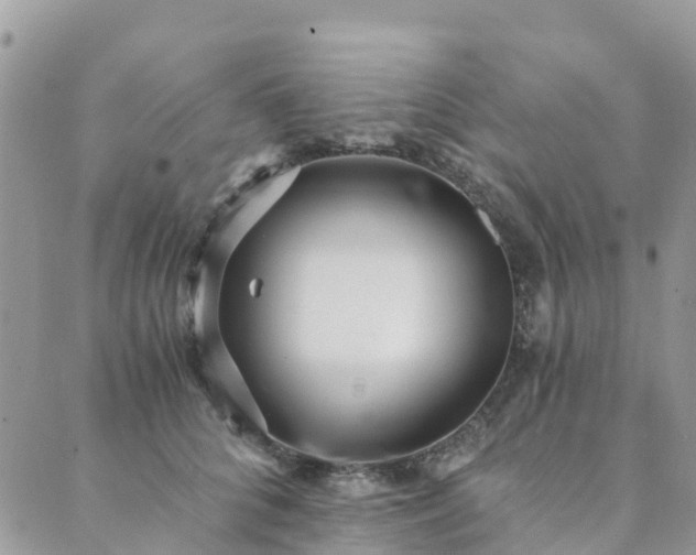 X0000089930704200706291158