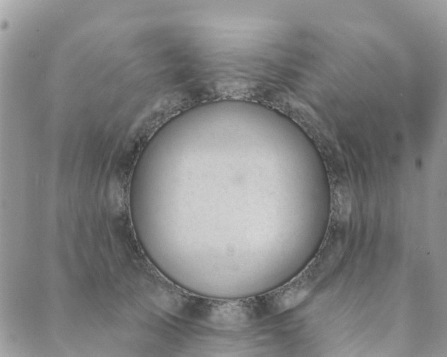 X0000089930705200706291158