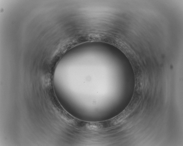 X0000089930706200706291158