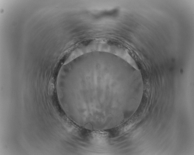 X0000089930707200706291158