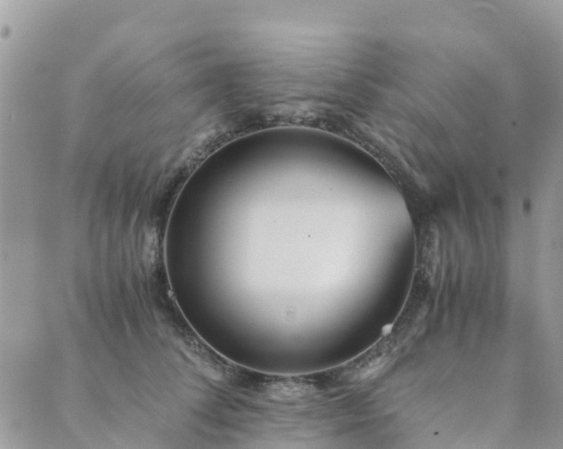 X0000089930708200706291158