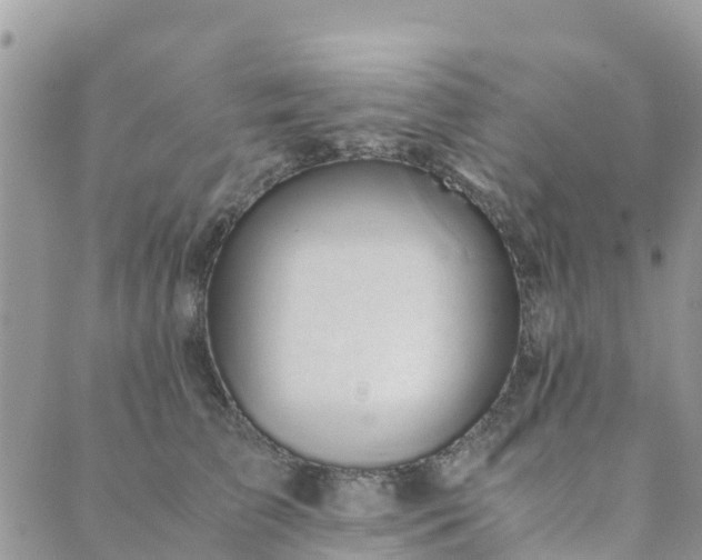 X0000089930709200706291158