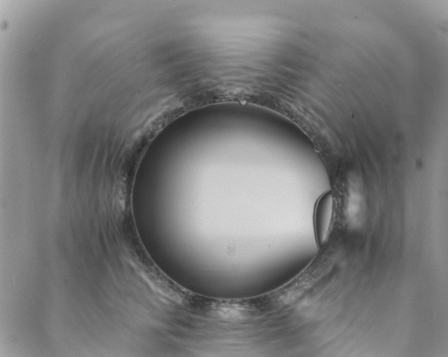 X0000089930710200706291158