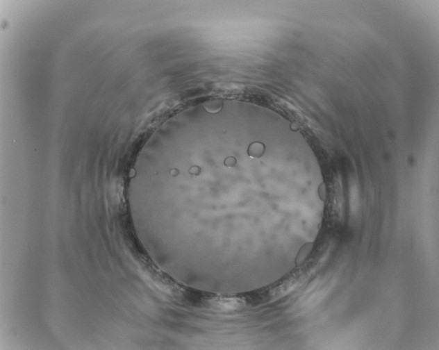 X0000089930711200706291158