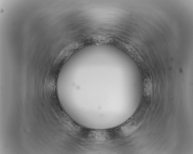 X0000089930713200706291158