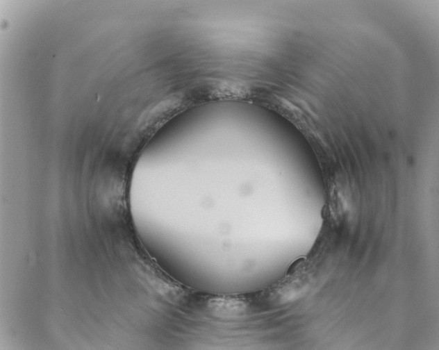 X0000089930714200706291158