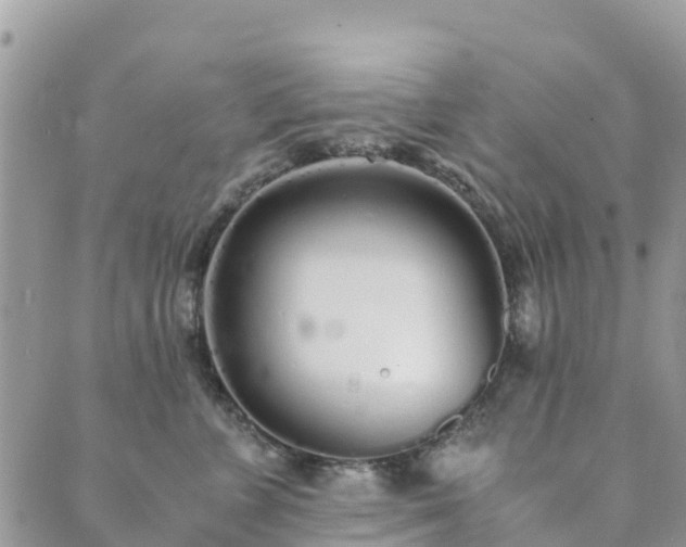 X0000089930715200706291158