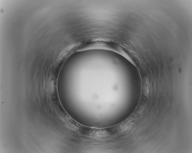 X0000089930716200706291158