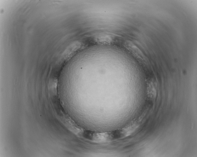 X0000089930717200706291157