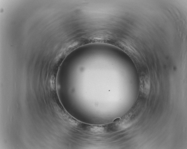 X0000089930718200706291157