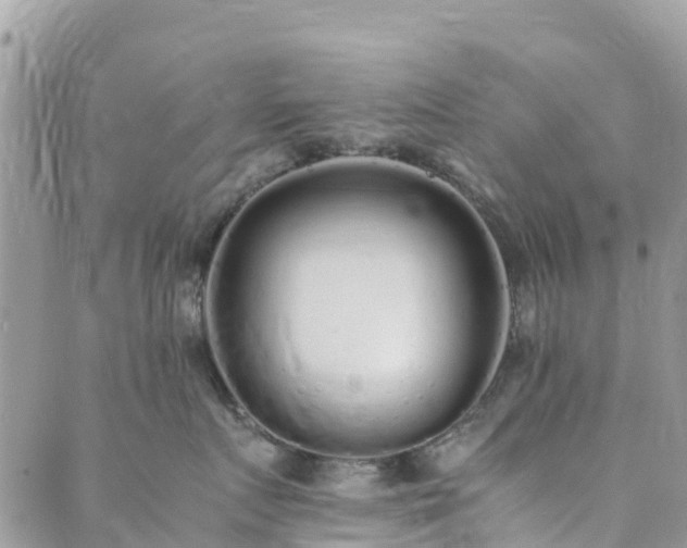 X0000089930719200706291157