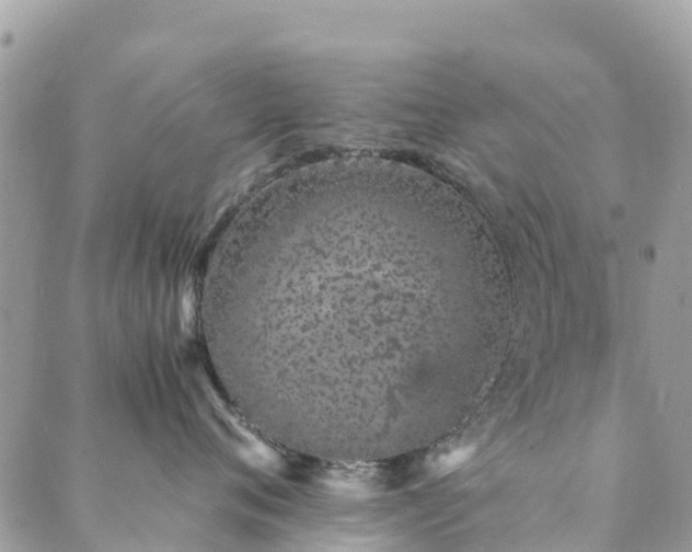 X0000089930720200706291157