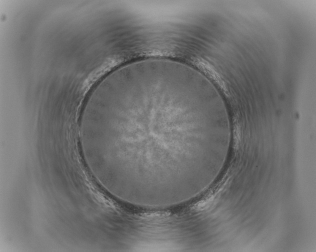 X0000089930721200706291157