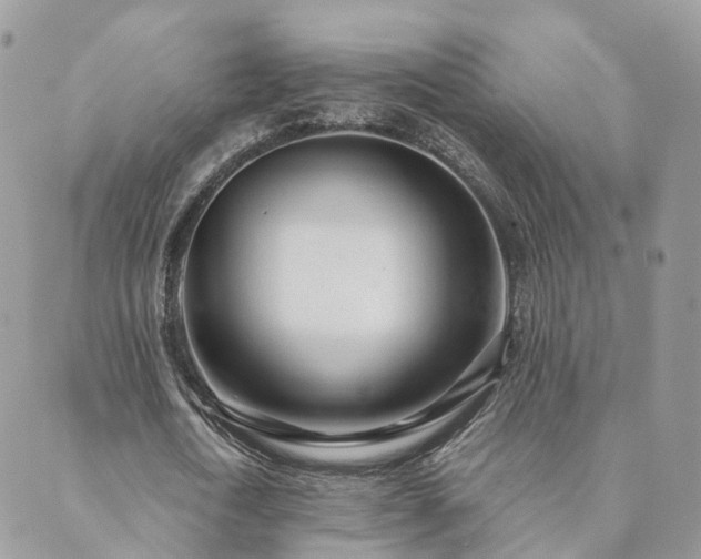 X0000089930722200706291157