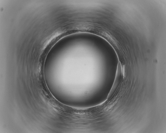 X0000089930723200706291157