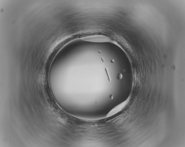 X0000089930724200706291157